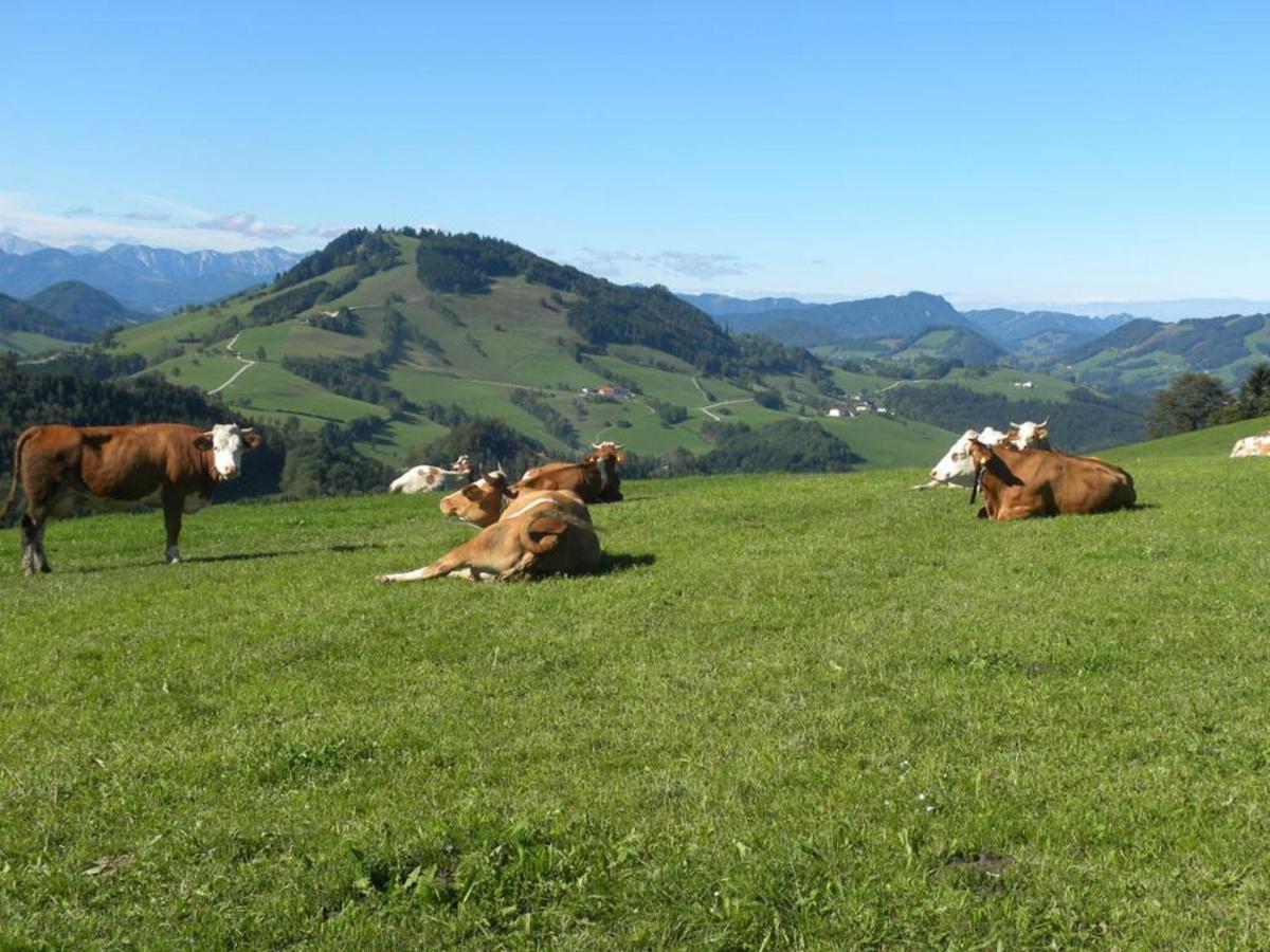 Ferienwohnung Mitterhirschberg, Familie Schweighuber Waidhofen an der Ybbs Exterior foto